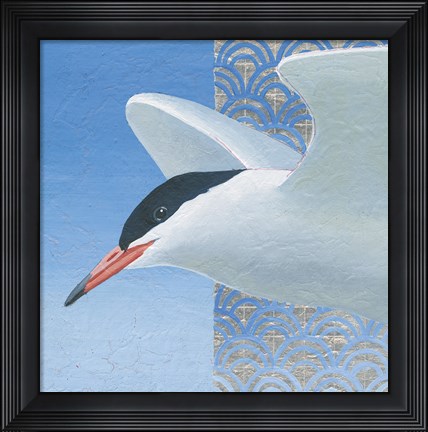 Framed Common Tern II Print