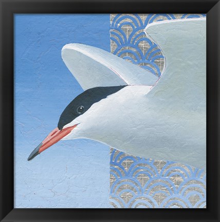 Framed Common Tern II Print
