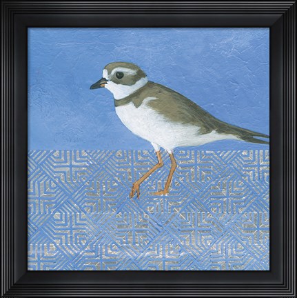 Framed Plover Print