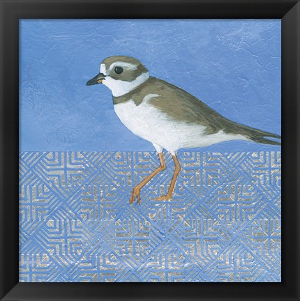 Framed Plover Print