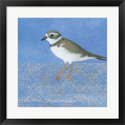 Framed Plover Print