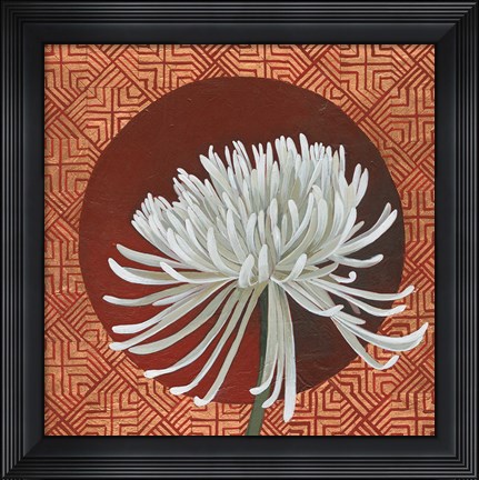 Framed Morning Chrysanthemum III Print