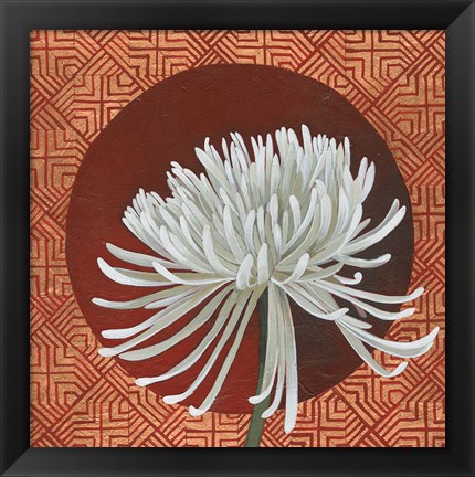 Framed Morning Chrysanthemum III Print