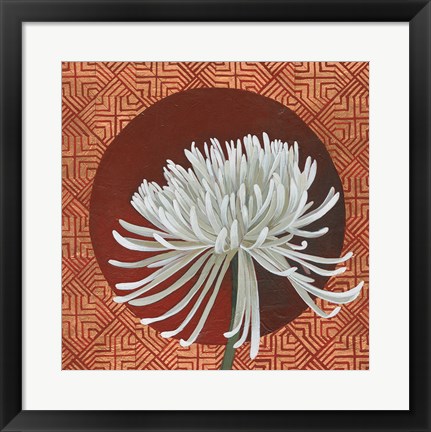 Framed Morning Chrysanthemum III Print