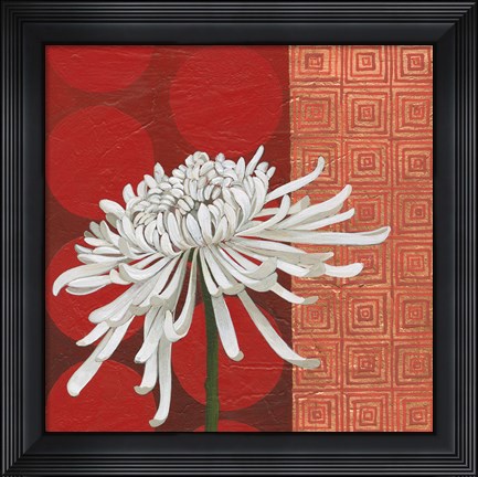 Framed Morning Chrysanthemum II Print