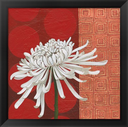 Framed Morning Chrysanthemum II Print