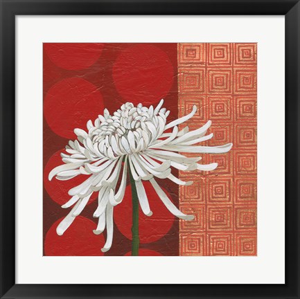 Framed Morning Chrysanthemum II Print