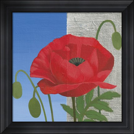 Framed Poppy Print