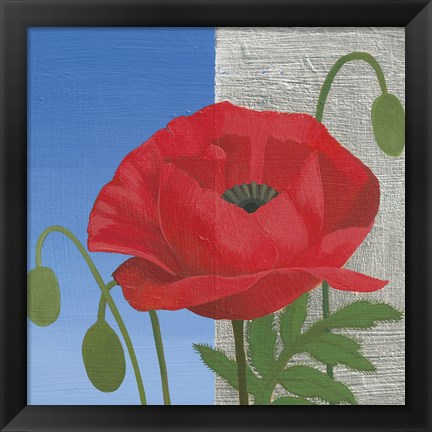 Framed Poppy Print