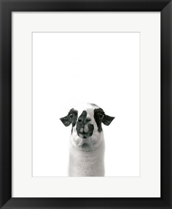 Framed Lovable Llama I v2 Print