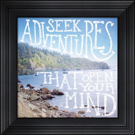 Framed Coastal Adventures III Print