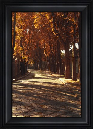 Framed Pere La Chaise Print