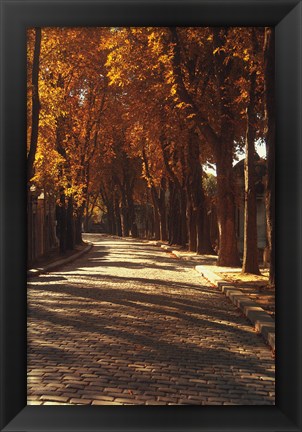 Framed Pere La Chaise Print