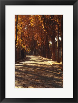 Framed Pere La Chaise Print