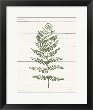 Framed Fern Print II Crop Print