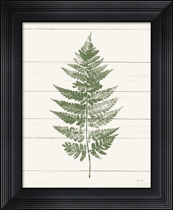 Framed Fern Print I Crop Print