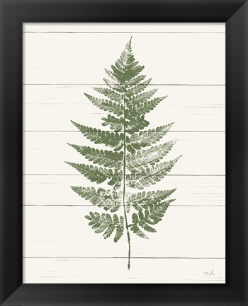 Framed Fern Print I Crop Print