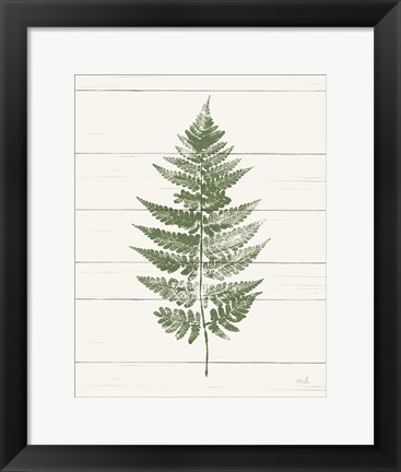 Framed Fern Print I Crop Print