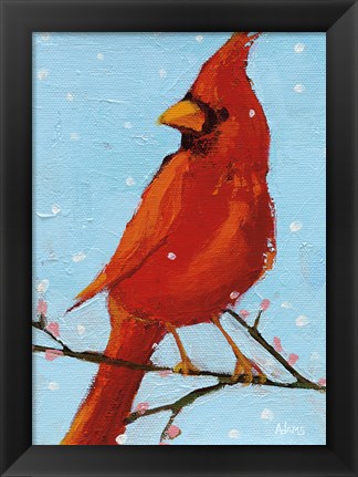 Framed Cardinal II Print