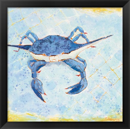 Framed Blue Crab VI Print