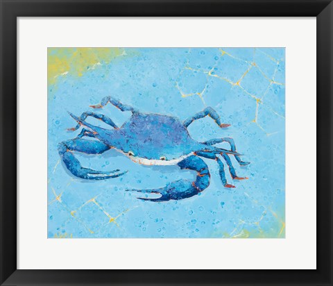 Framed Blue Crab V Print