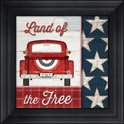 Framed Land of the Free Print