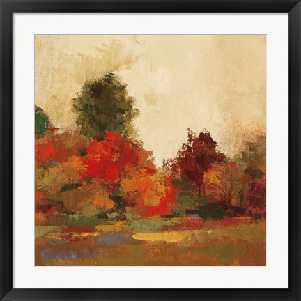 Framed Fall Forest III Print