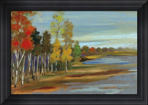 Framed Young Aspens Print