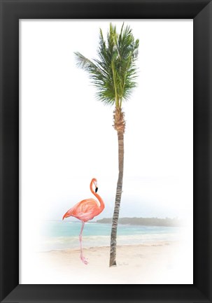 Framed Flamingo in Paradise Print