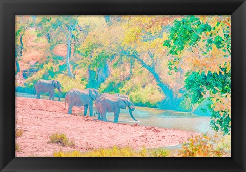 Framed Waterhole Rendezvous I Print