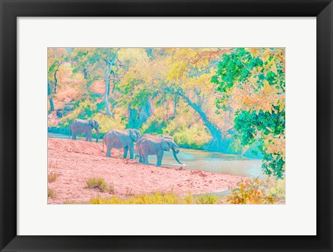 Framed Waterhole Rendezvous I Print