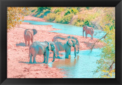 Framed Waterhole Rendezvous II Print