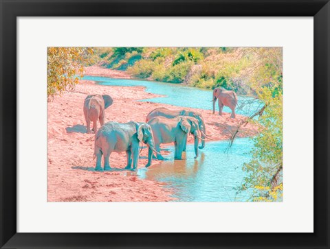 Framed Waterhole Rendezvous II Print