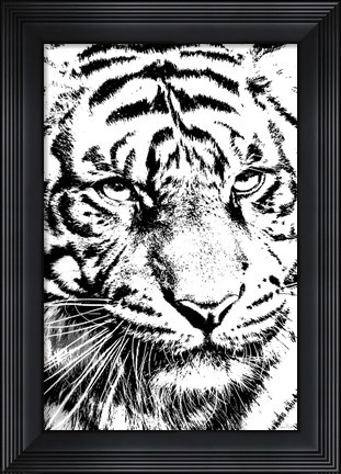 Framed Kitty Kitty Print