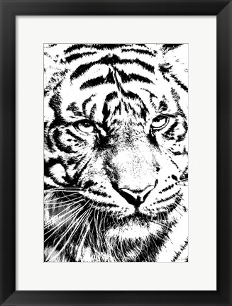 Framed Kitty Kitty Print