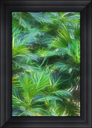 Framed Tropical Leaves I Print