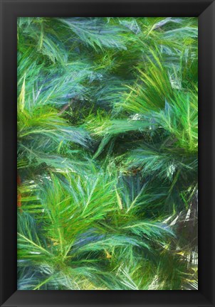 Framed Tropical Leaves I Print