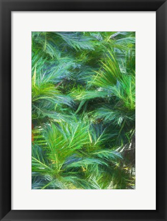 Framed Tropical Leaves I Print