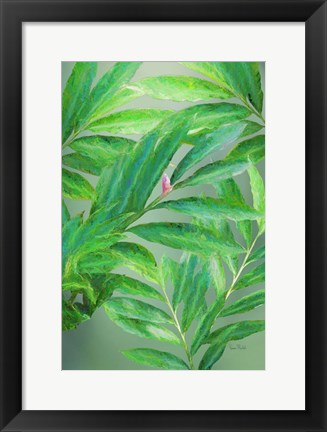 Framed Tropical Leaves IV Print