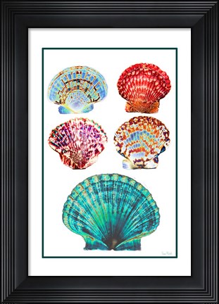 Framed Seashell Collection I Print