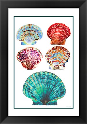 Framed Seashell Collection I Print