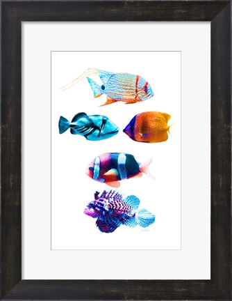 Framed Fish Tank Print