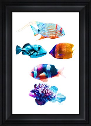 Framed Fish Tank Print
