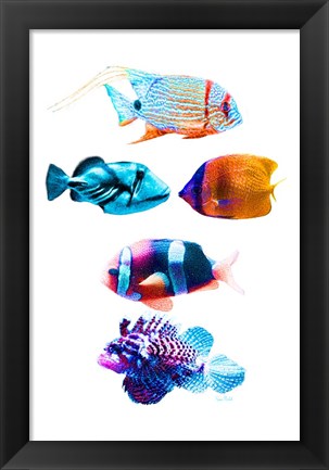 Framed Fish Tank Print