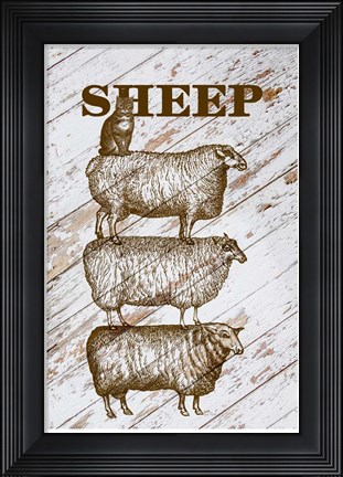 Framed Sheep Print