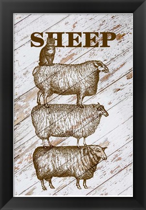 Framed Sheep Print