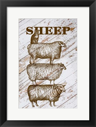 Framed Sheep Print