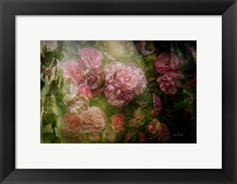 Framed Evening Light on Roses I Print