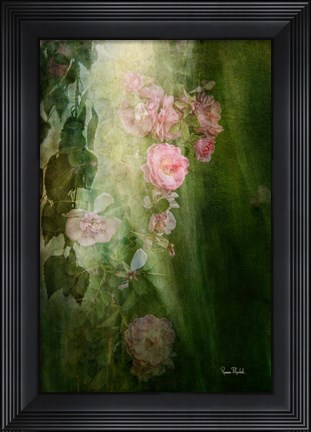 Framed Evening Light on Roses II Print