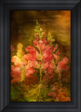Framed Snapdragon Twilight I Print